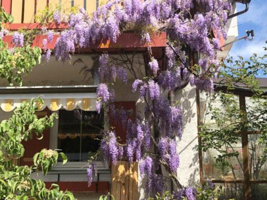 Apartament Haus Oberland Bad Endorf Zewnętrze zdjęcie
